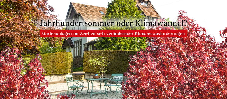 Jahrhundertsommer oder Klimawandel? Gartenanlagen im Zeichen sich verändernder Klimaherausforderungen