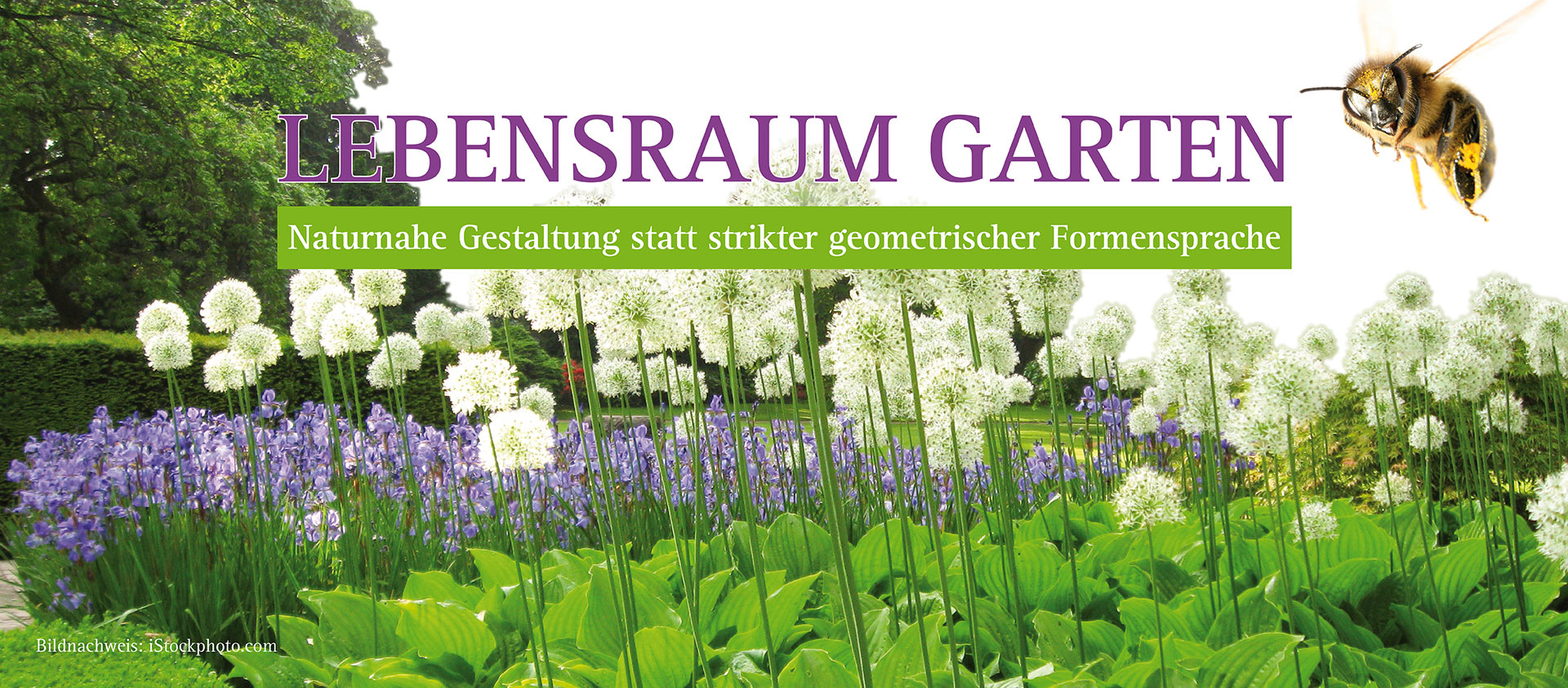 Lebensraum Garten - Naturnahe Gestaltung statt strikter geometrischer Formensprache
